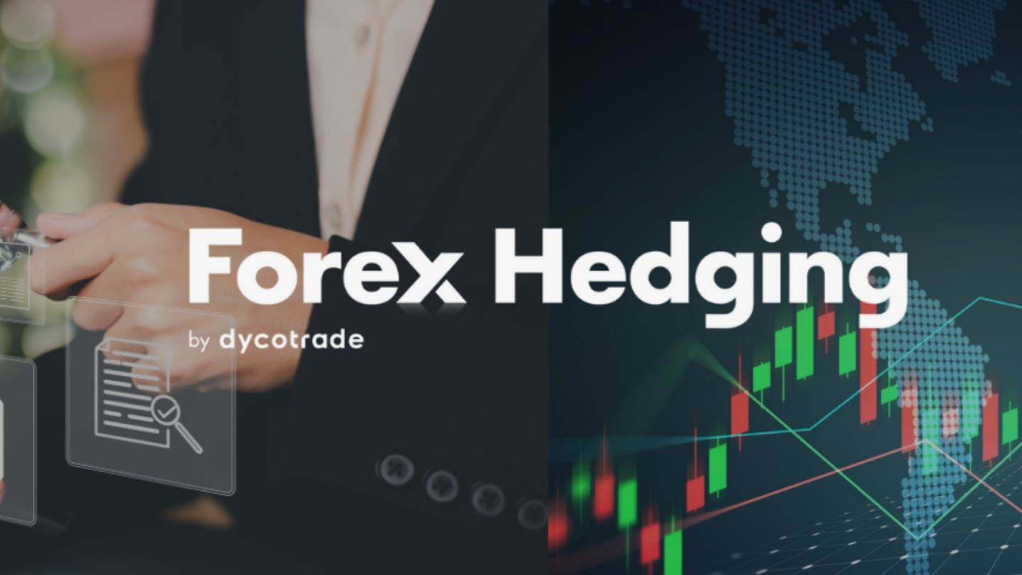 Forex_Hedging_big